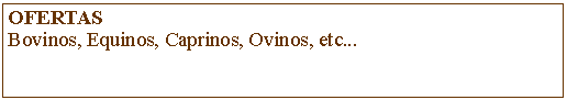 Caixa de Texto: OFERTAS Bovinos, Equinos, Caprinos, Ovinos, etc... 